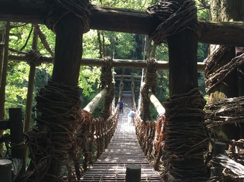 祖谷のかずら橋