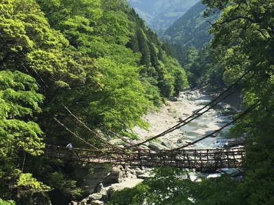 祖谷のかずら橋